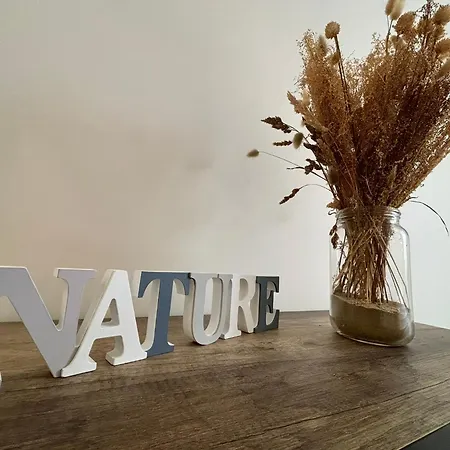 Apartament Au Coeur Du Marche, Confort Avec Wifi, Centre-ville Royan