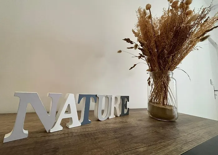 Apartment Au Coeur Du Marche, Confort Avec Wifi, Centre-ville Royan