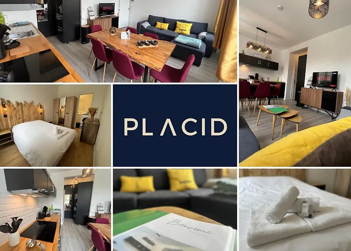 Apartment Au Coeur Du Marche, Confort Avec Wifi, Centre-ville Royan